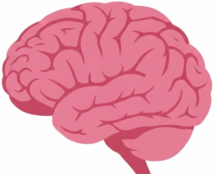 fish oil for the brain