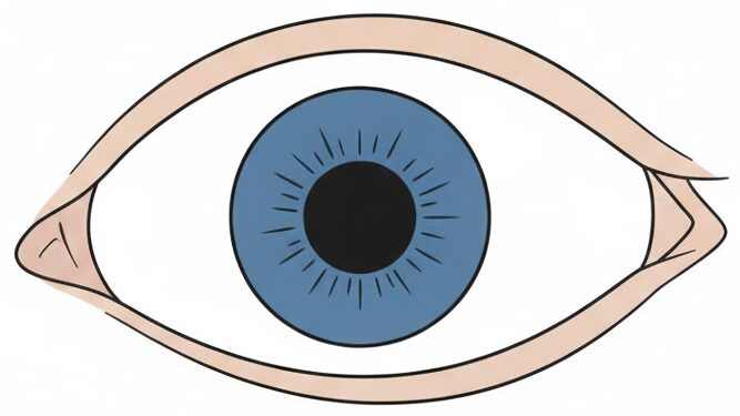 human eye benefits from fish oil