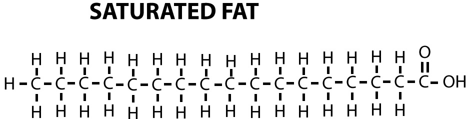 Omega Fats and Why They Are Important - Super Duper Nutrition