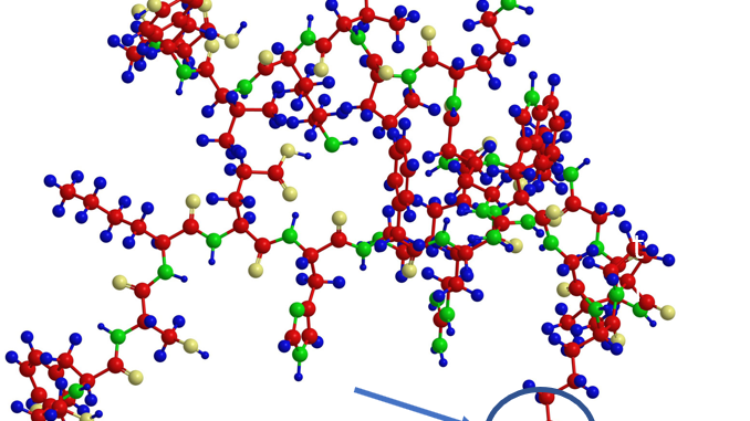 protin amino