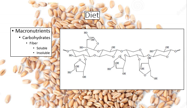 fiber for weight loss plan