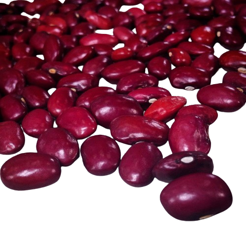 Best Beans for Protein Power: Elevating Your Nutrition with Nature’s Legume Marvels