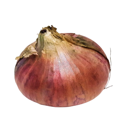 Onion Health: A Closer Look at the Benefits and Uses